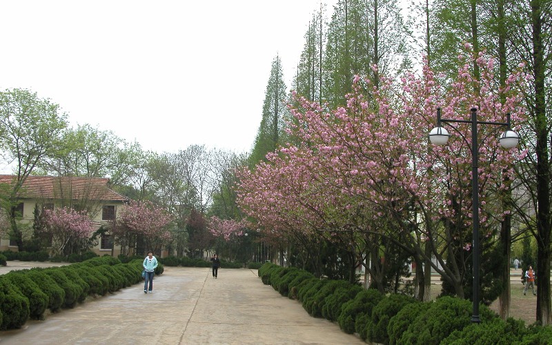 南昌大學共青學院高職單招